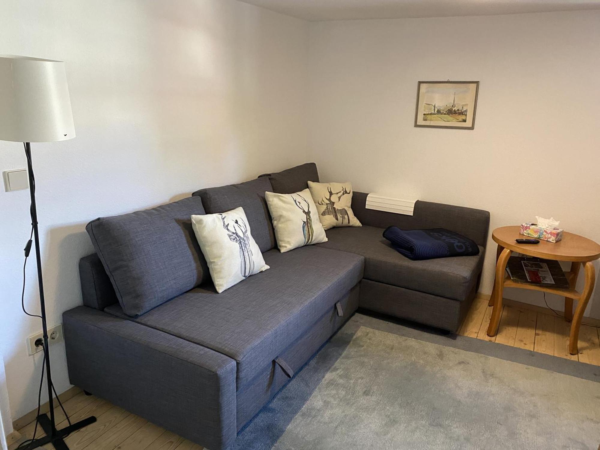 Ferienwohnung Sester Gengenbach Eksteriør billede